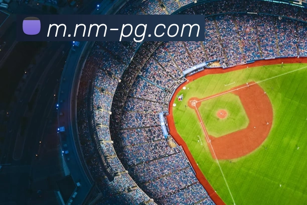 App Interface Preview